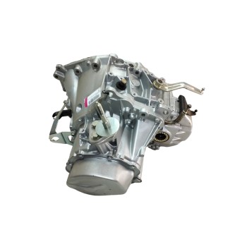 Recambio de caja cambios para peugeot 206 berlina 1.9 diesel referencia OEM IAM 20DL72  