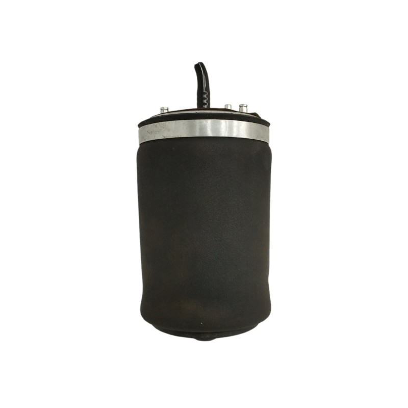 Recambio de amortiguador trasero derecho para bmw x5 (e53) 4.4 v8 32v cat (m62) referencia OEM IAM 0296100 AMORTIGUADOR NEUMATIC