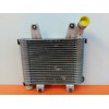 Recambio de intercooler para kia carnival ii 2.9 cdri ex referencia OEM IAM 0K55313550B  
