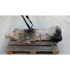 Recambio de caja cambios para nissan pick-up (d22) td doble cabina 4x4 referencia OEM IAM   