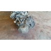 Recambio de motor completo para peugeot 206 berlina xr referencia OEM IAM KFX  