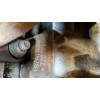 Recambio de motor completo para fiat seicento (187) active referencia OEM IAM 187A1000  