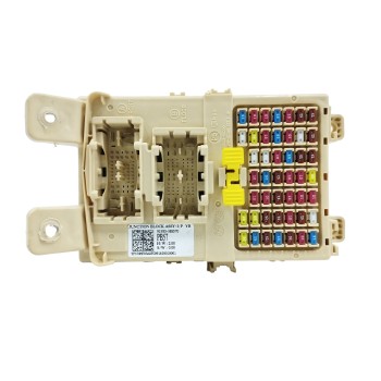 CAJA RELES / FUSIBLES 91955H8570 