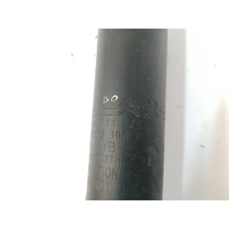 AMORTIGUADOR TRASERO DERECHO