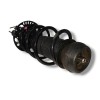 Recambio de amortiguador delantero derecho para seat ibiza (6p1) reference referencia OEM IAM 6R0413031C  