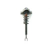 Recambio de amortiguador delantero derecho para audi a6 avant (4f5) 3.2 v6 24v fsi referencia OEM IAM 4F0413031AL  