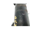 Recambio de amortiguador trasero derecho para audi a6 allroad quattro (4fh) 3.0 v6 24v tdi referencia OEM IAM 4F0616032K  