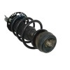 Recambio de amortiguador delantero derecho para volkswagen up! (121, 122, bl1, bl2, bl3, 123) 1.0 referencia OEM IAM 1S0413031B 