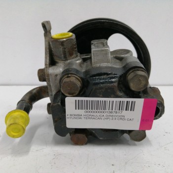 Recambio de bomba direccion para hyundai terracan (hp) 2.9 crdi cat referencia OEM IAM   GRP3