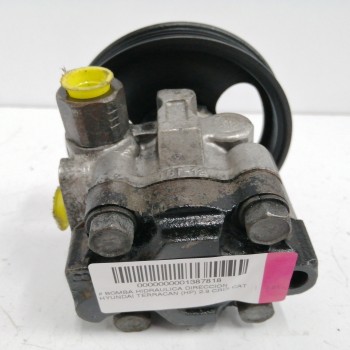 Recambio de bomba direccion para hyundai terracan (hp) 2.9 crdi cat referencia OEM IAM   GRP3