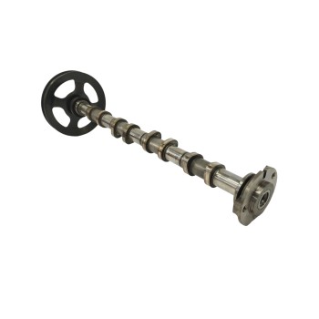 Recambio de arbol de levas para ford mondeo berlina (ge) 2.0 tdci cat referencia OEM IAM XS7Q6A270AD ESCAPE 