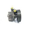 Recambio de bomba direccion para fiat linea (110) 1.6 jtdm 16v cat referencia OEM IAM 51852320 7613955570 