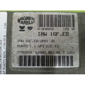 Recambio de centralita motor uce para fiat punto berl. (176) 55 s referencia OEM IAM 007795574  