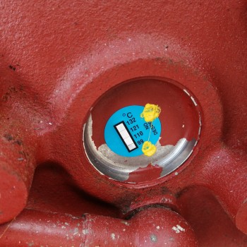 Recambio de motor completo para iveco eurorider29 9.5 d referencia OEM IAM 846041R  