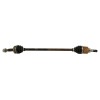 Recambio de transmision trasera derecha para nissan x-trail (t32) 1.6 dci turbodiesel cat referencia OEM IAM 396001HC0C  