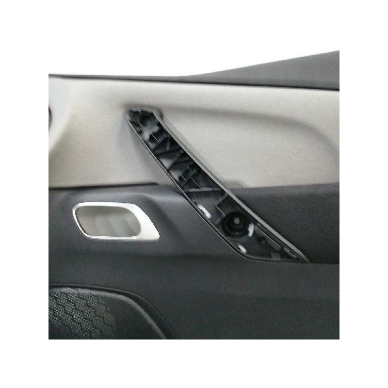 GUARNECIDO PUERTA DELANTERA DERECHA