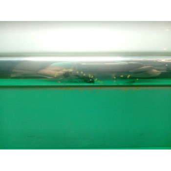 Recambio de puerta delantera izquierda para ssangyong rodius ii 2.0 xdi referencia OEM IAM  OBSERVAR FOTOS 