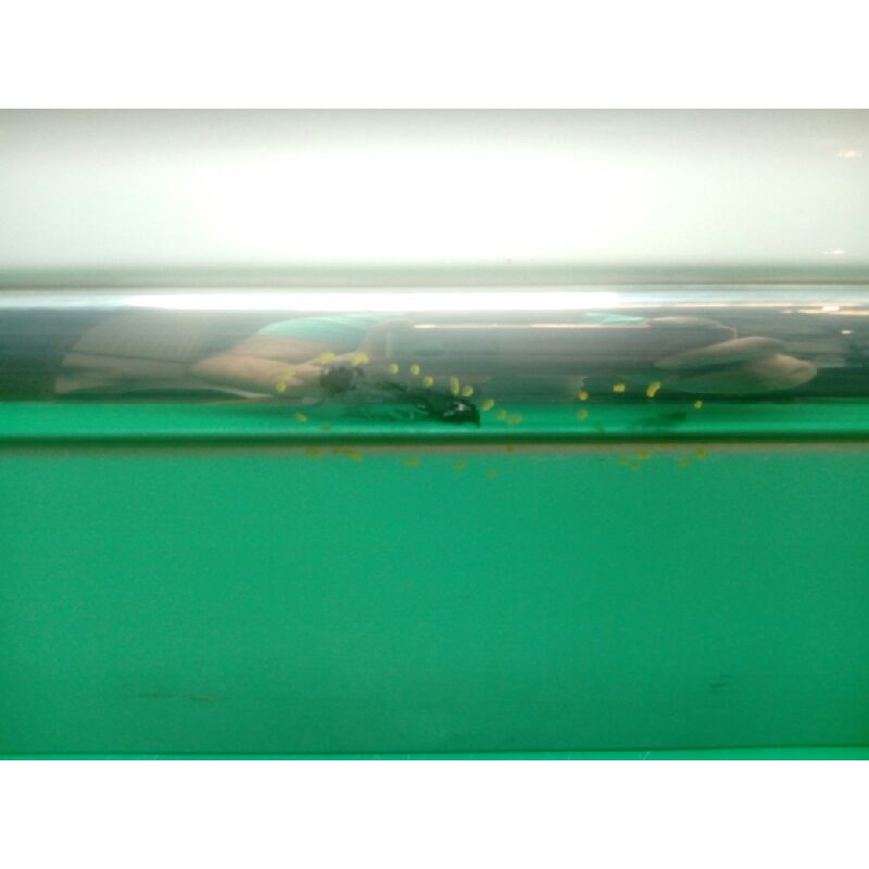 PUERTA DELANTERA IZQUIERDA OBSERVAR FOTOS