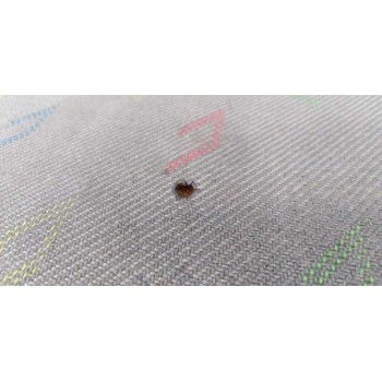 Recambio de asiento delantero izquierdo para volkswagen crafter combi (2e) 2.5 tdi dpf referencia OEM IAM   