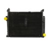 Recambio de radiador agua para bmw serie 3 berlina (e36) 2.5 turbodiesel cat referencia OEM IAM 2243444  