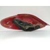 Recambio de piloto trasero derecho para peugeot 207 1.6 16v hdi fap referencia OEM IAM 9649986580  