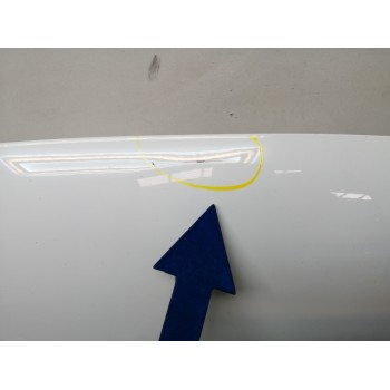 Recambio de capot para fiat talento kasten (296) 2.0 dci referencia OEM IAM  OBSERVAR FOTOS 