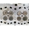 Recambio de culata para bmw x3 (e83) 2.0d referencia OEM IAM 7785876  