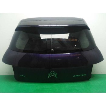 PORTON TRASERO 9800805380 