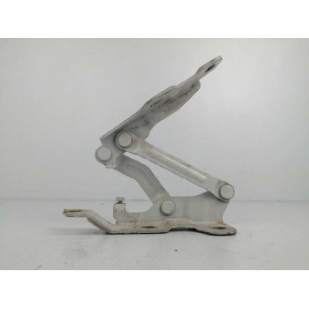 BISAGRA CAPO IZQUIERDA 7911059000 