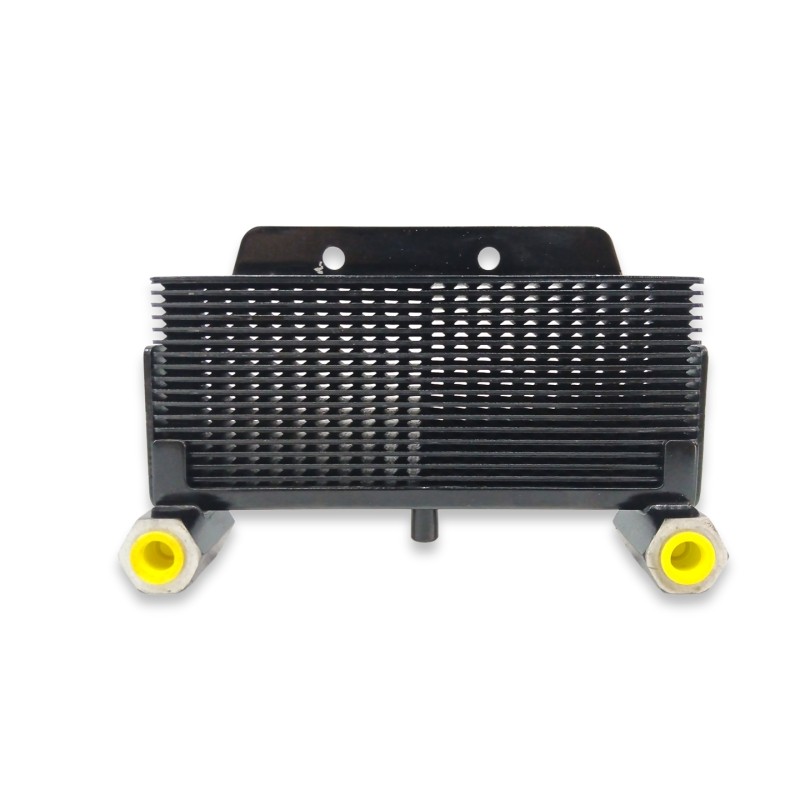 Recambio de enfriador aceite para benelli bn bn 125 (u30) referencia OEM IAM 5000021  