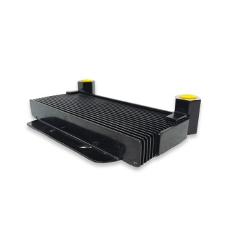 Recambio de enfriador aceite para benelli bn bn 125 (u30) referencia OEM IAM 5000021  