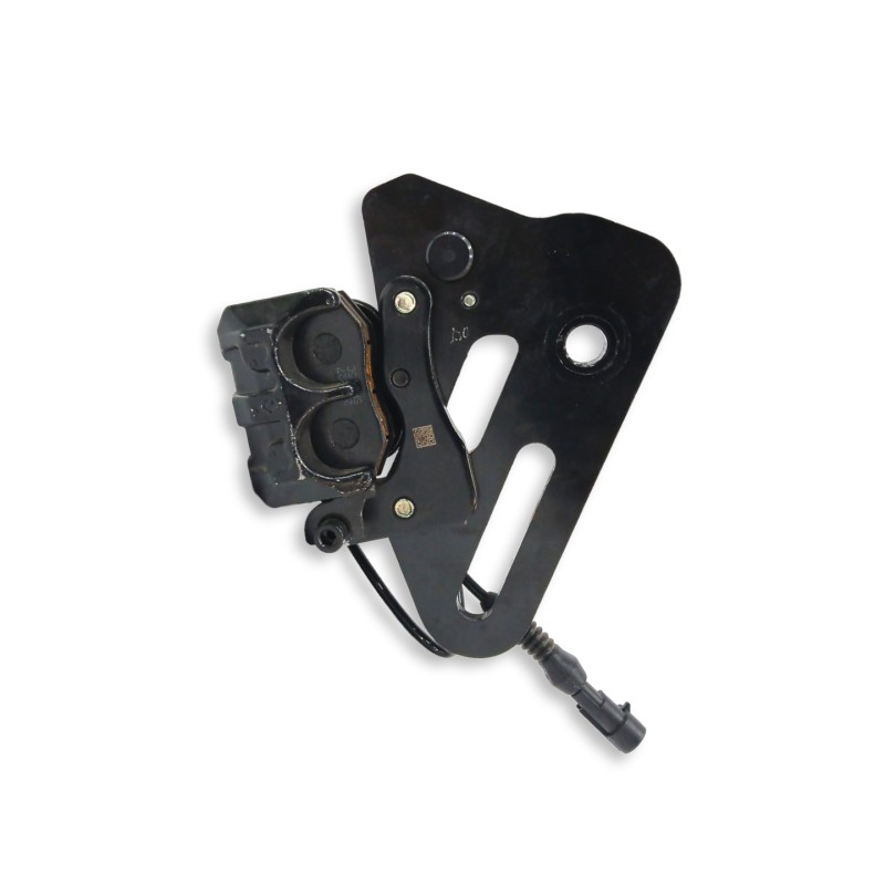 PINZA DE FRENO TRASERA