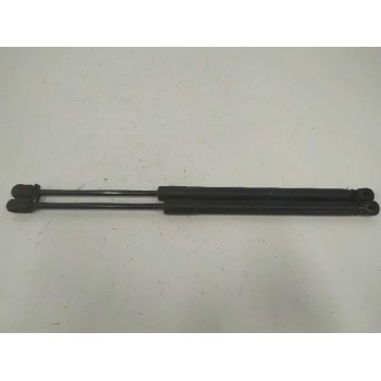 AMORTIGUADORES MALETERO / PORTON 