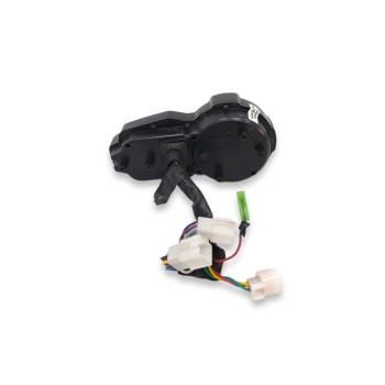Recambio de cuadro cuenta kilometros para goes sk125 22 referencia OEM IAM 1161700-001000 1161700001000 