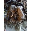 Recambio de motor completo para peugeot 205 berlina 1.1 mito referencia OEM IAM HDZ  