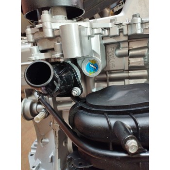 Recambio de motor completo para kia rio 1.2 cat referencia OEM IAM G4LA 117914 ENVIOAGOSTO2025