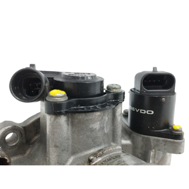 CAJA MARIPOSA OBSERVAR FOTOS