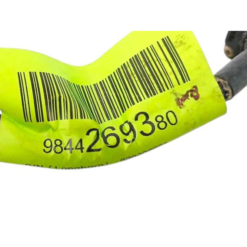 CAMARA VISION TRASERA