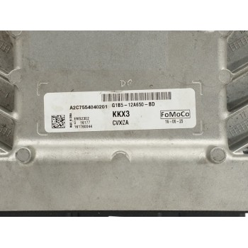 Recambio de centralita motor uce para ford ka+ ultimate referencia OEM IAM G1B512A650BD A2C7554040201 