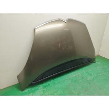 Recambio de capot para citroën c4 picasso 2.0 hdi fap cat (rhr / dw10bted4) referencia OEM IAM 7901N7  