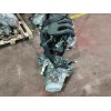 Recambio de despiece motor para citroën berlingo 1.9 diesel referencia OEM IAM WJZ  CAJA NARANJA
