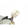 Recambio de elevalunas delantero derecho para mazda premacy (cp) 1.9 16v cat referencia OEM IAM 8621003882 CM010410D 