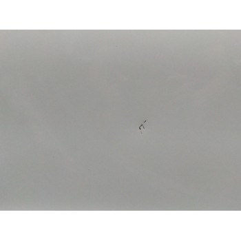 Recambio de puerta trasera izquierda para hyundai i20 i (pb, pbt) 1.2 referencia OEM IAM   