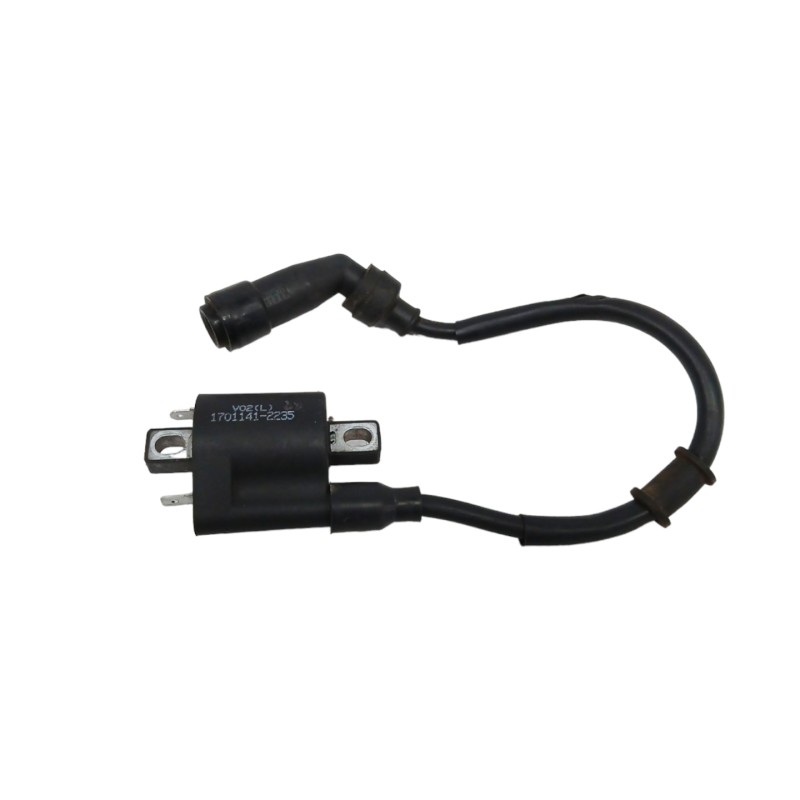 Recambio de bobina alta para benelli bn 125 bn 125 referencia OEM IAM 17011412235  