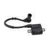 Recambio de bobina alta para benelli bn 125 bn 125 referencia OEM IAM 17011812235  