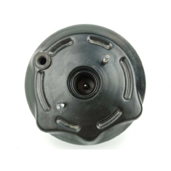 Recambio de servofreno para bmw serie 1 lim. (f20) 1.6 16v referencia OEM IAM 4081076 294081076 0204794806