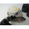 Recambio de cinturon seguridad delantero derecho para bmw x3 (e83) 2.5 24v referencia OEM IAM S23400712074  