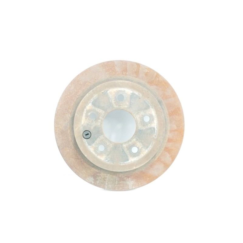 Recambio de disco freno trasero para nissan x-trail (t30) 2.0 16v cat referencia OEM IAM   