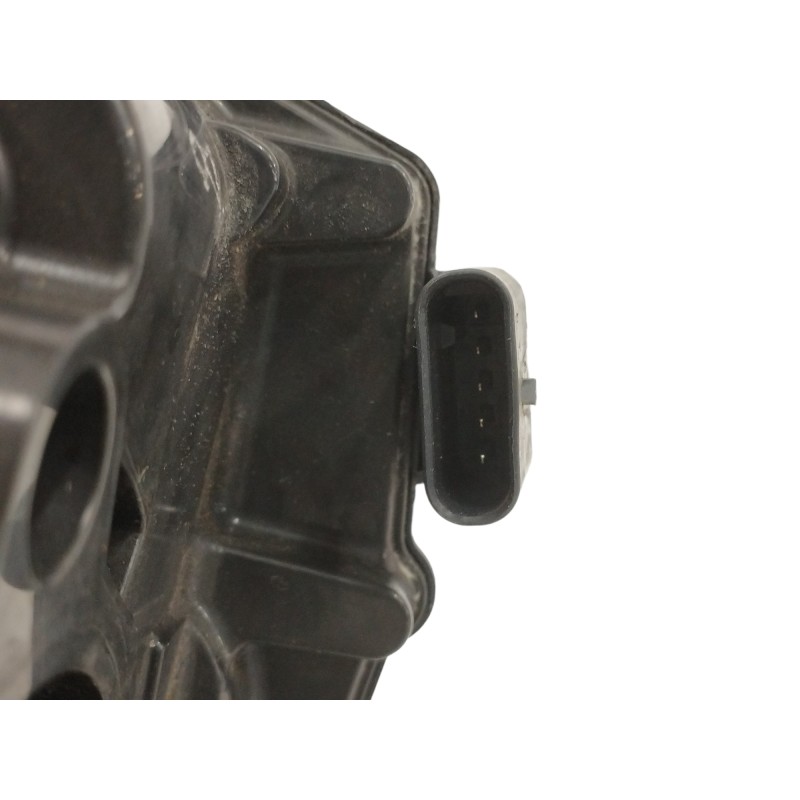 CAJA MARIPOSA OBSERVAR FOTO A2C80221201