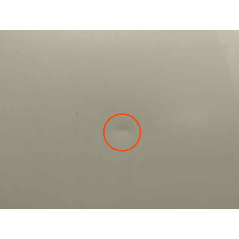 PUERTA DELANTERA IZQUIERDA NECESITA REPARACION CON MANETA